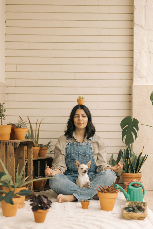 A casa como espelho da alma: decorar com presença