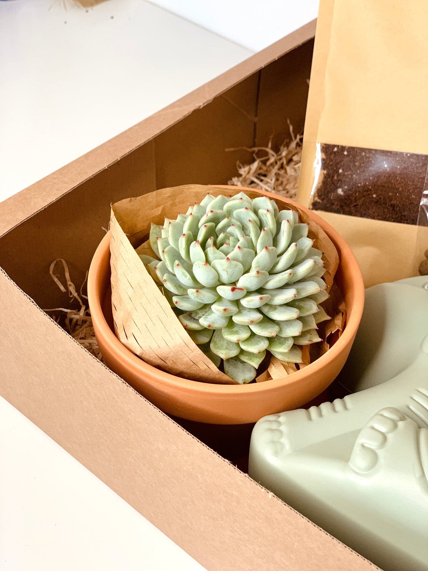Kit de Jardinagem Infantil