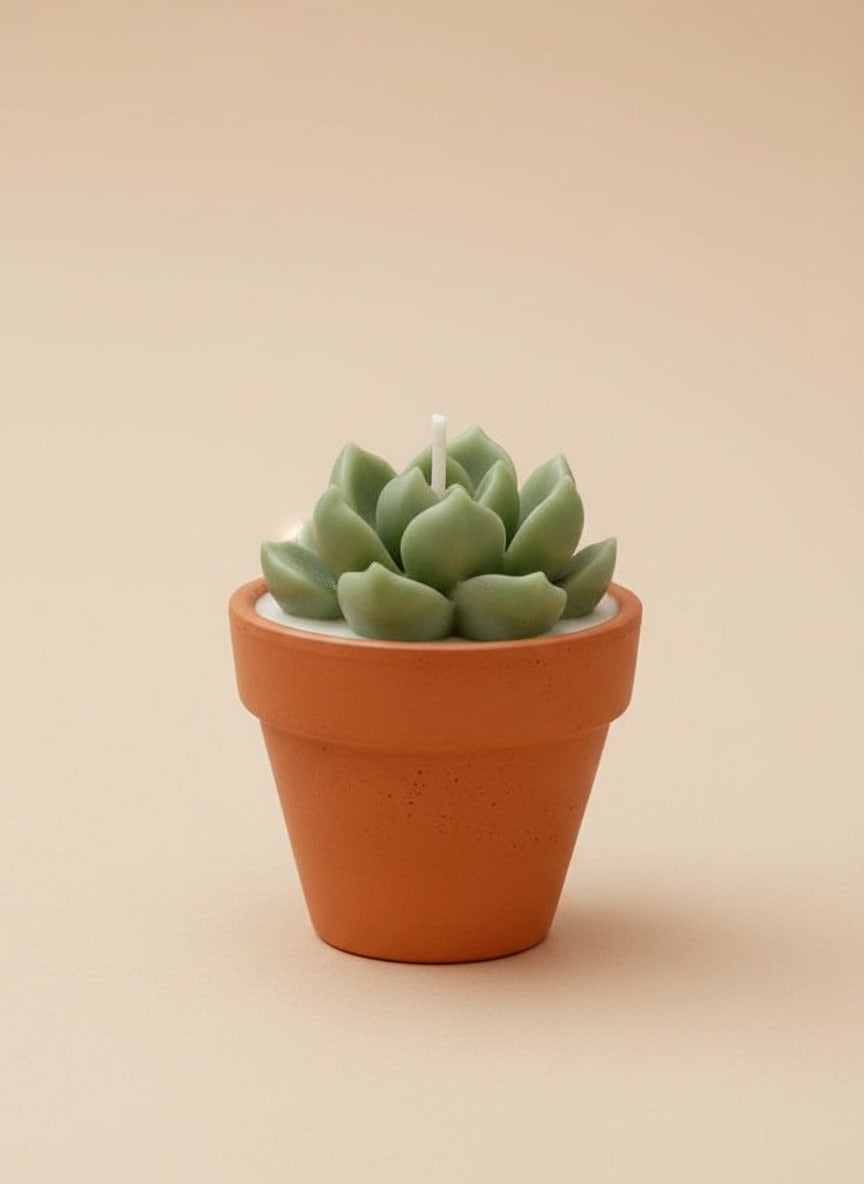 Mini vela suculenta perfumada