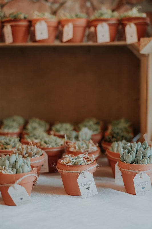 Como escolher lembranças conscientes para eventos especiais?
