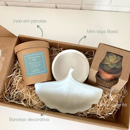 Kit de Ervilhices "Luz"