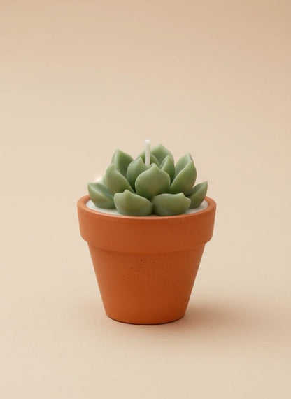 Mini vela suculenta perfumada