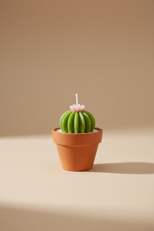 Mini vela suculenta perfumada