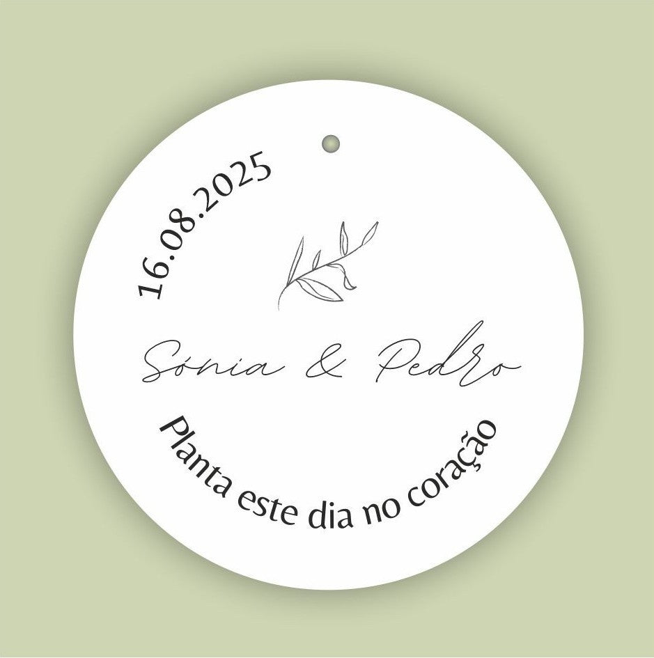 Mini suculenta com caixa presente