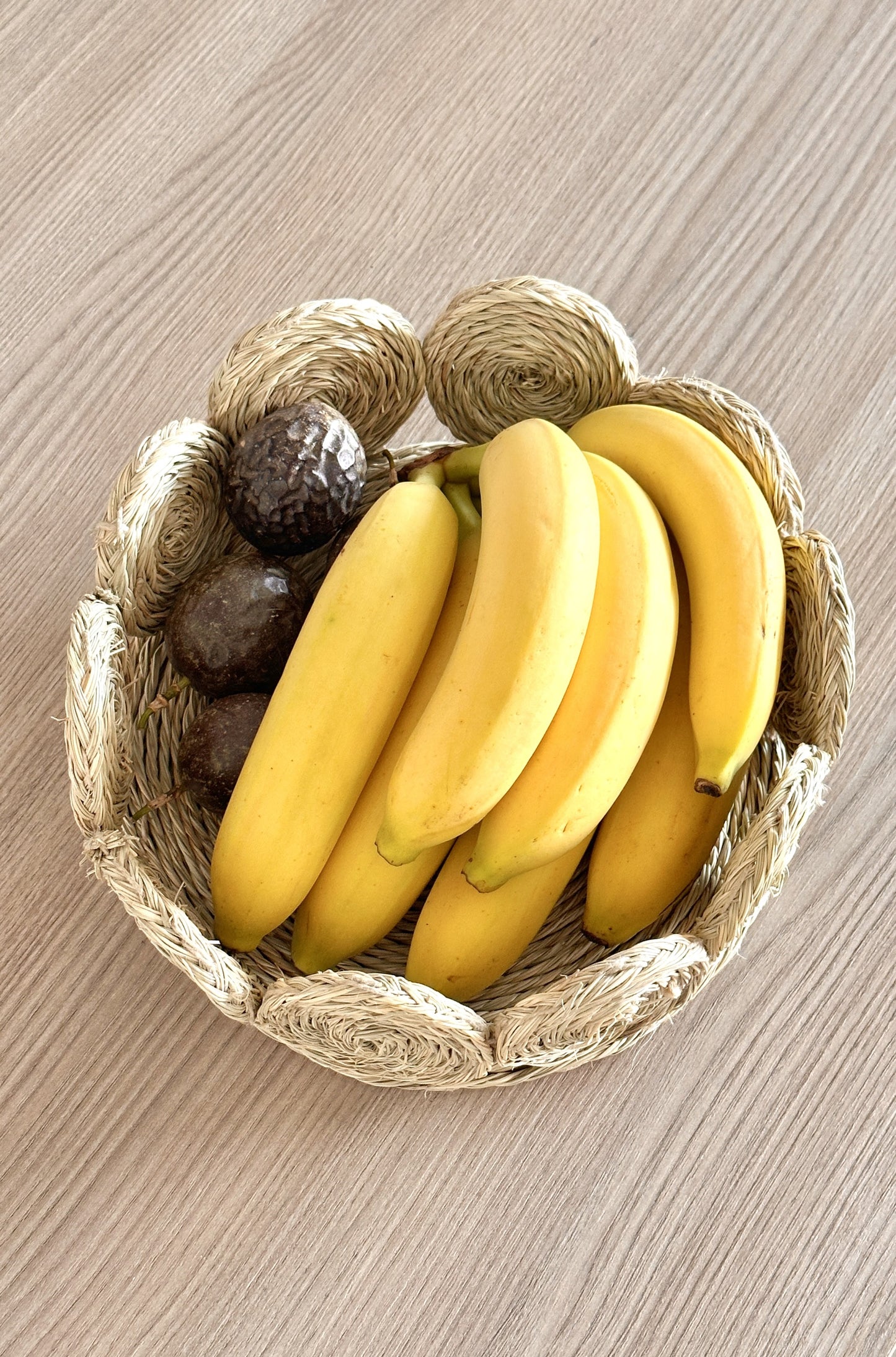 Cesta em bracejo 'Raiz'