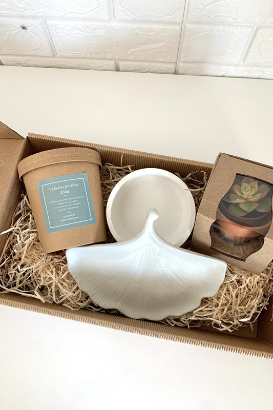 Kit de Ervilhices "Luz"